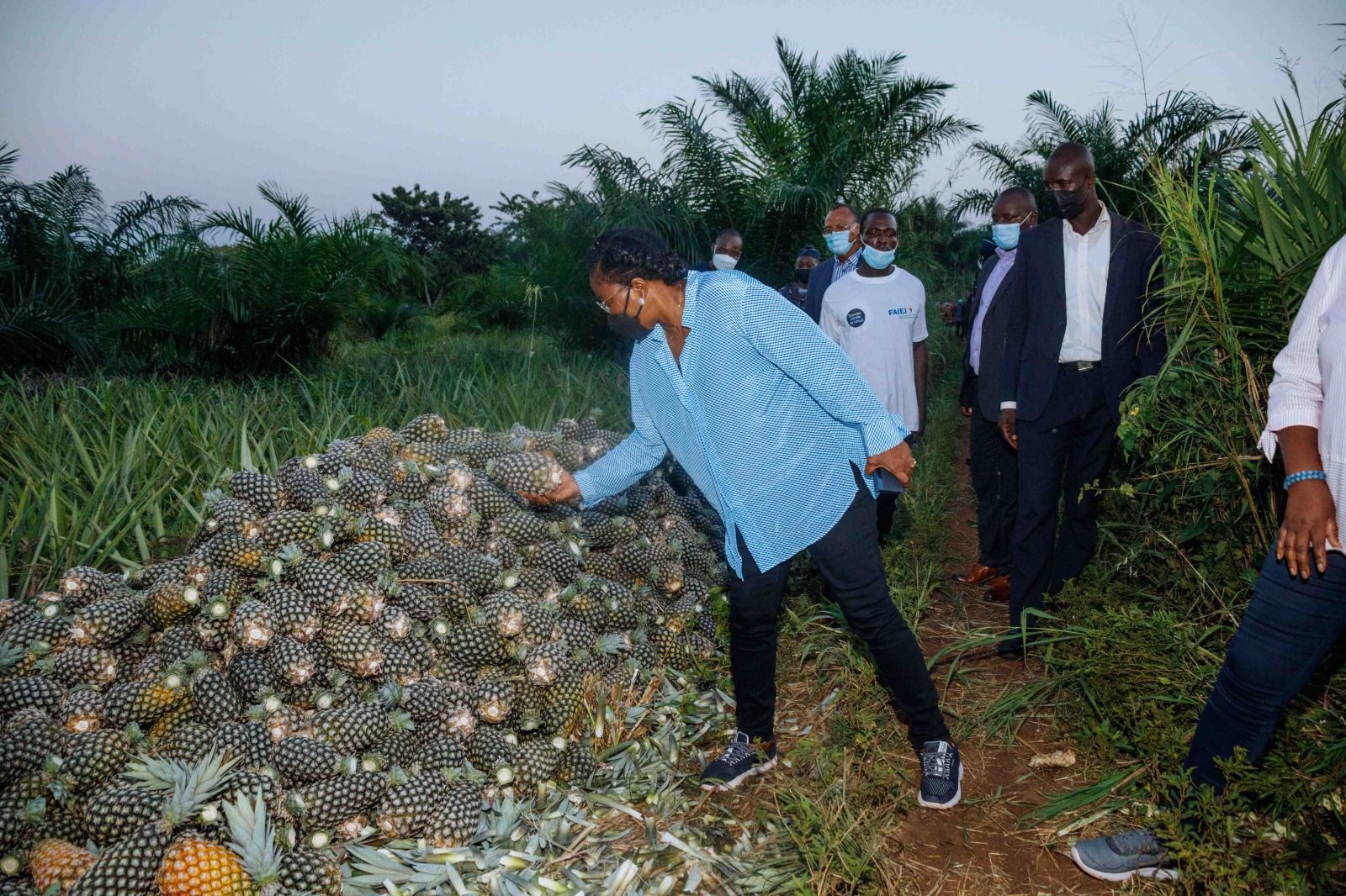 image visite dzolo PM